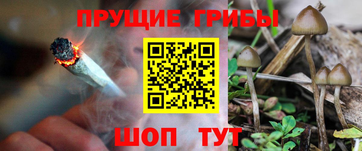 Галлюциногенные грибы Magic Shrooms  Псилоцибиновые грибы мицелий  Торжок  Вход с VPN 